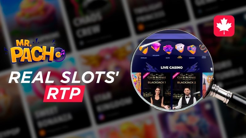 Entdecken Sie das Online Casino Erfahrungsraum von Mr Pacho in der Schweiz